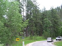 2009JulySD0569.jpg
