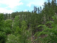 2009JulySD0574.jpg
