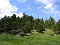 2009JulySD0614.jpg