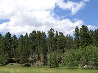 2009JulySD0639.jpg