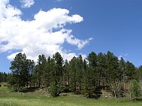 2009JulySD0640.jpg